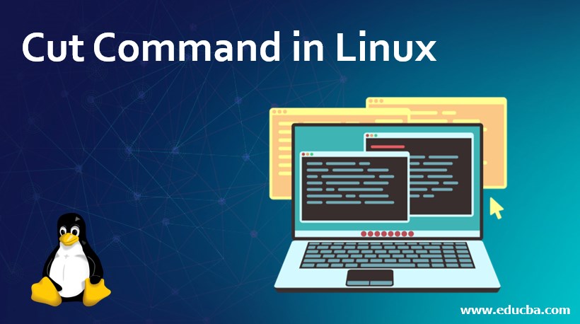 Cut Command in Linux