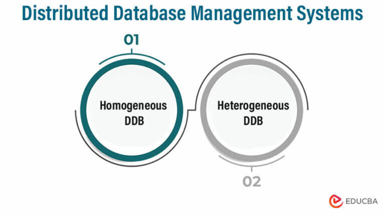 Different Types of DBMS (Database Management Systems)