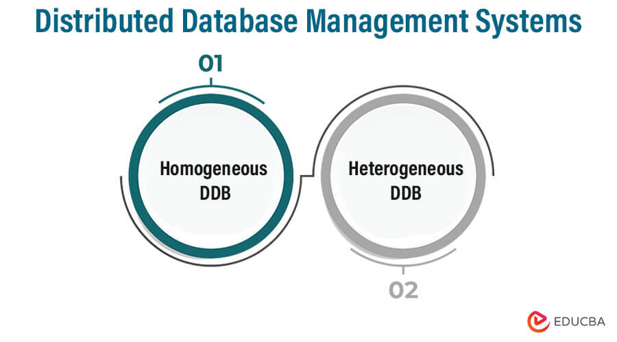 Distributed Database Management Systems