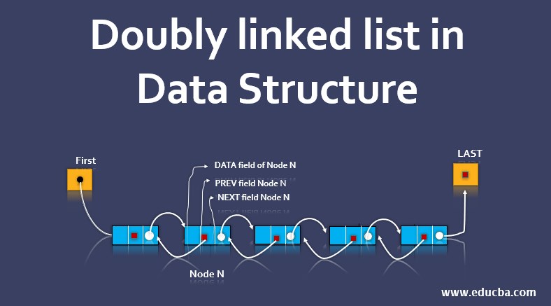 Double linked list. Doubly. Doubly connected domain.