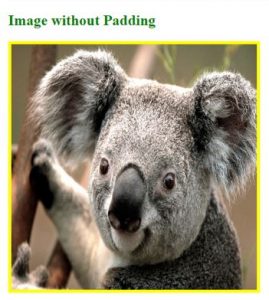 HTML Image Padding | How does Image Padding work in HTML or CSS?