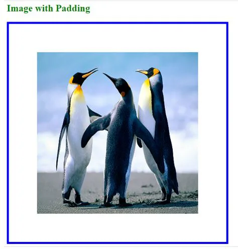 single padding value