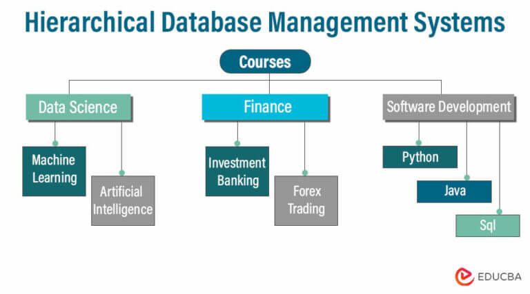 Different Types of DBMS (Database Management Systems)