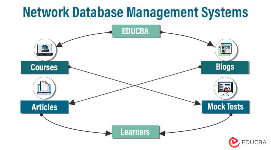 Network Database Management Systems