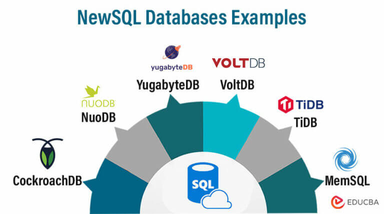 Different Types of DBMS (Database Management Systems)