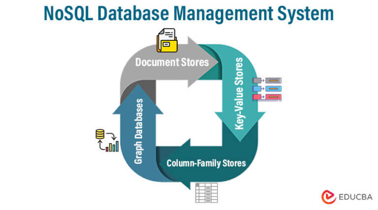 Different Types of DBMS (Database Management Systems)