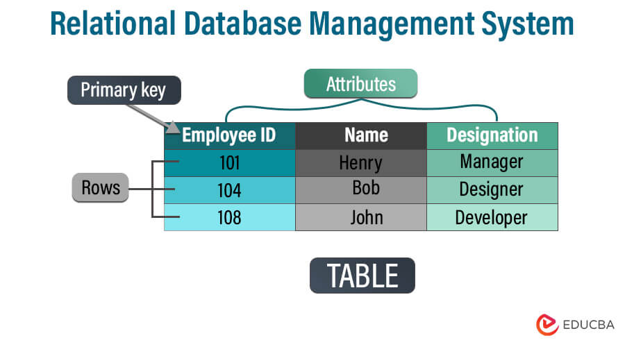 Relational Database Management System - DBMS Types