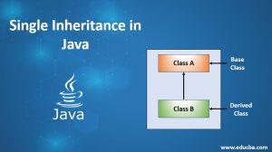 Single Inheritance in Java | Implementing Program in Single Inheritance