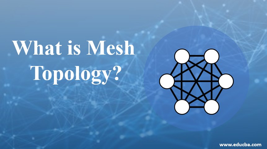 is Topology? | A Quick Glance of Mesh Topology