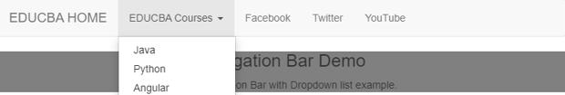 Bootstrap Navigation Bar | Learn The Examples Of Bootstrap Navigation Bar