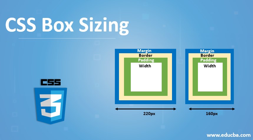 Css Box Sizing | How To Use Box Sizing In Css With Examples