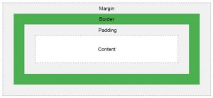 CSS Margin Color | Understanding of Different CSS Margin Color