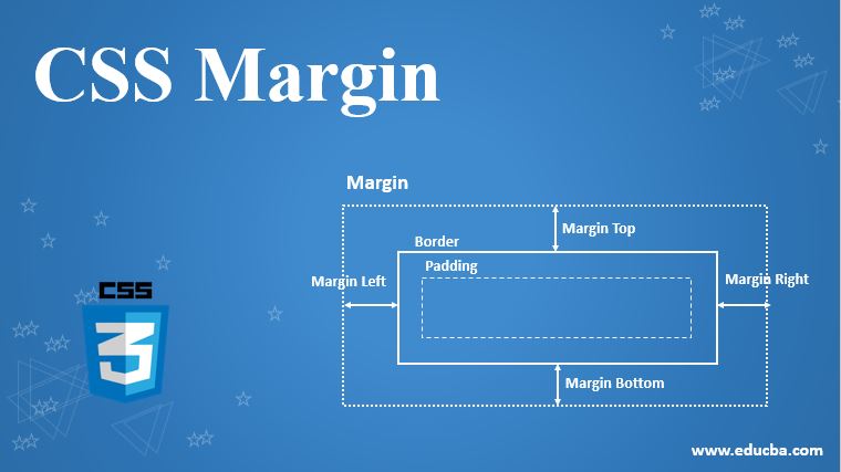 CSS Margin | How to Set Margin for Individual Sides in CSS?