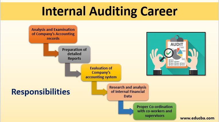 internal auditing career