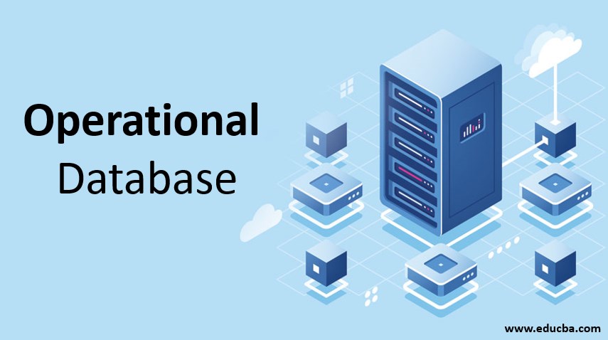 operational database