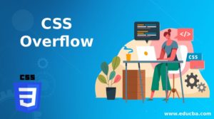 CSS Overflow | Overflow 4 Properties And Examples To Implement