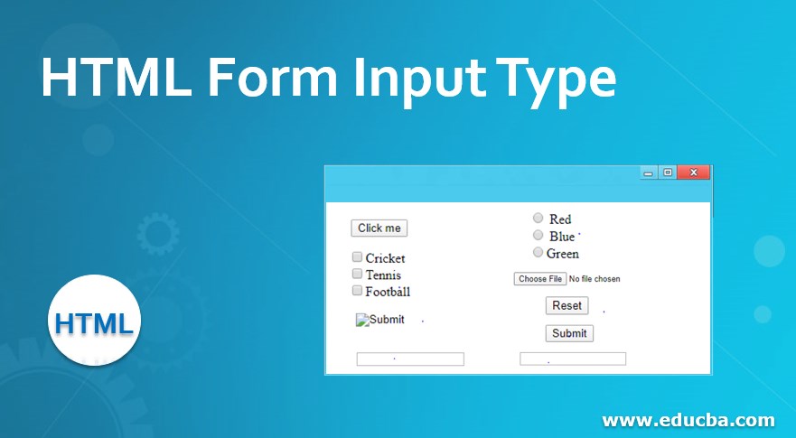 HTML Form Input Type