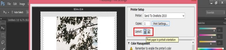 How to Print in Photoshop? | Preparing Photos for Print in Photoshop