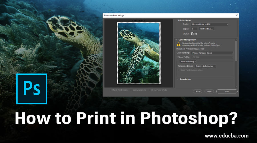 How to Print in Photoshop?