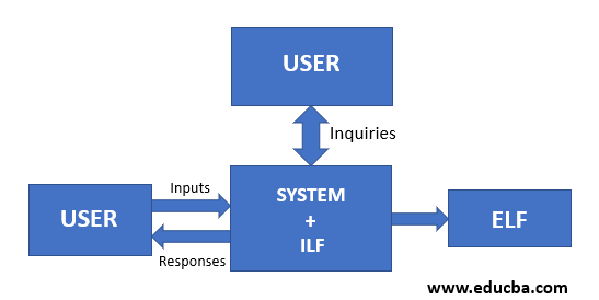 Internal Logic Files