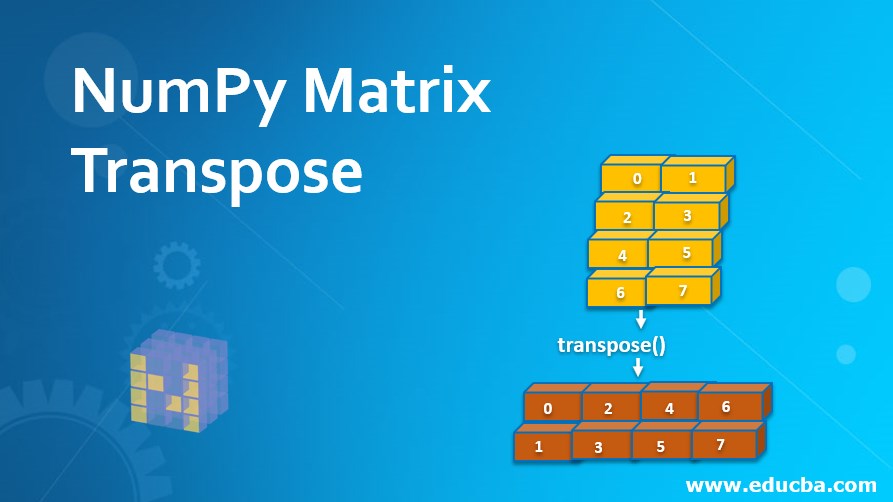 NumPy Matrix Transpose