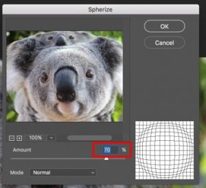 Photoshop Distort Effect | Recreating Image with Distort Effect