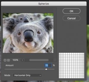 Photoshop Distort Effect | Recreating Image with Distort Effect