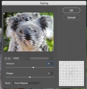 Photoshop Distort Effect | Recreating Image with Distort Effect