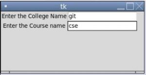 Tkinter Widgets | Functions of Tkinter Widgets with Different Examples
