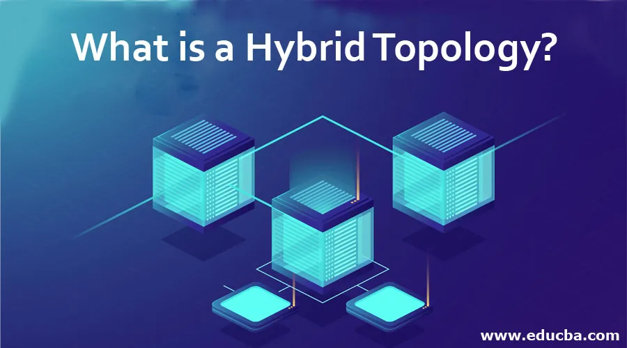 What is a Hybrid Topology? What is a Hybrid Topology?