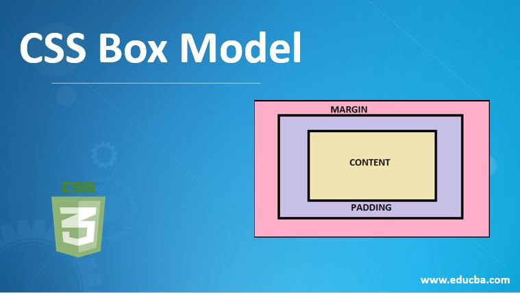 css box model