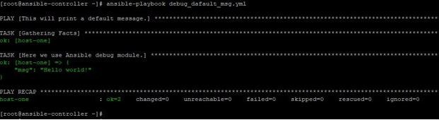ansible debug message loop