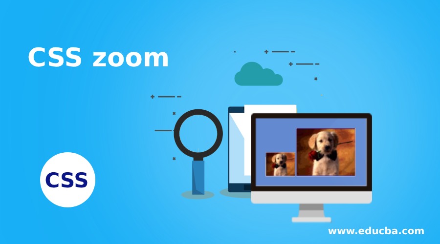 CSS zoom | Learn How does zoom work in CSS with Examples