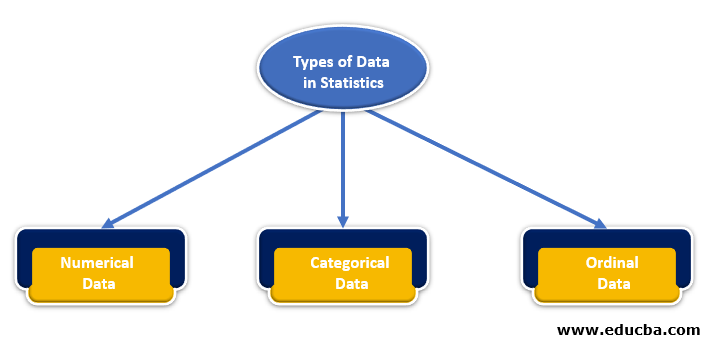 5 Types Of Statistics