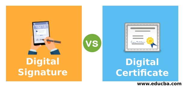 Digital Signature vs Digital Certificate