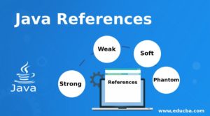 Java References | Types of Java References with Examples