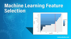 Machine Learning Feature Selection | Steps to Select Select Data Point