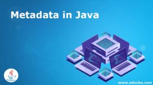 Metadata in Java | How does Metadata Work in Java? | Examples