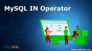 MySQL IN Operator | Examples on How IN Operator Works in MySQL
