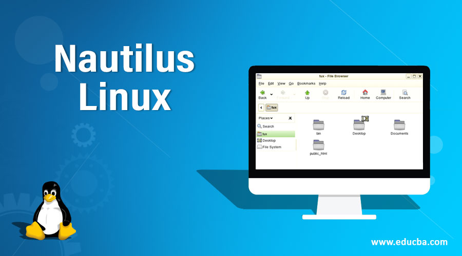 Nautilus Linux Learn How To Use Nautilus In Linux 