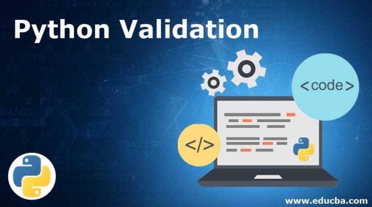 validation python assignment expert