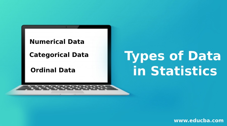 Types of Data in Statistics
