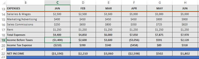 net income business plan