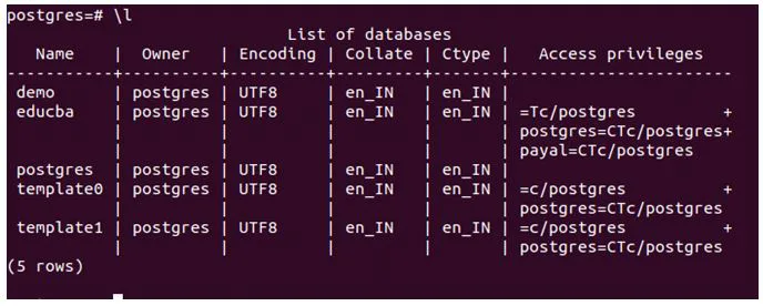 database privileges.