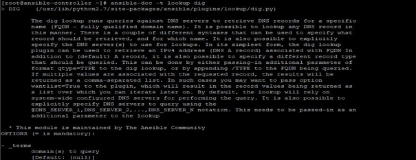 Ansible Lookup - 2