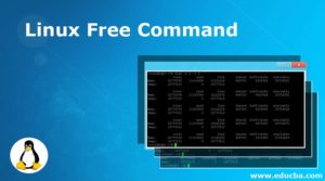 Linux Free Command | Learn How Does Linux Free Command Work?