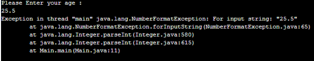 NumberFormatException in Java - 5