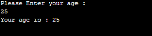 NumberFormatException in Java | How NumberFormatException work?