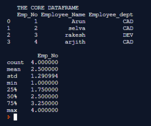Pandas DataFrame.describe() | Parameters and Examples in detail