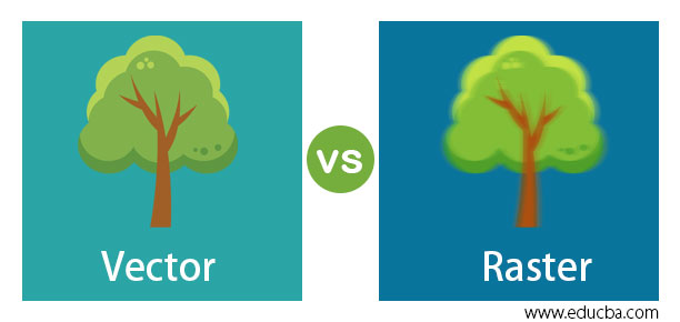 difference between raster and vector